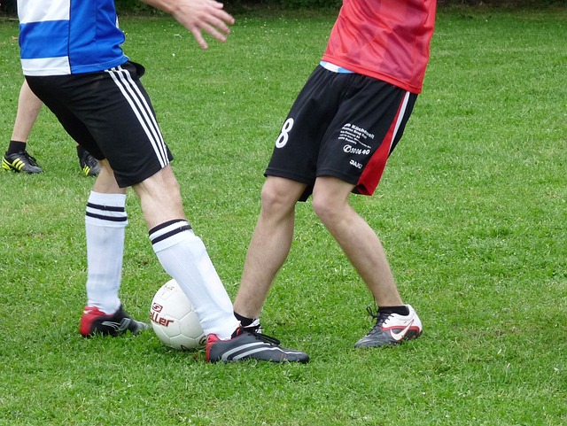 球队管理层 球队管理层