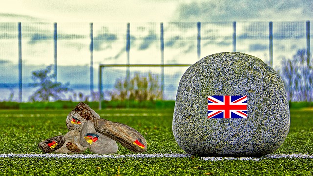 成为鹈鹕队 成为鹈鹕队